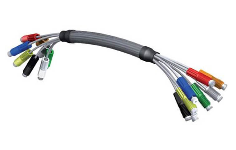 Labeling - harness